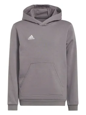 adidas Youth Entrada 22 Training Hoody - Grey